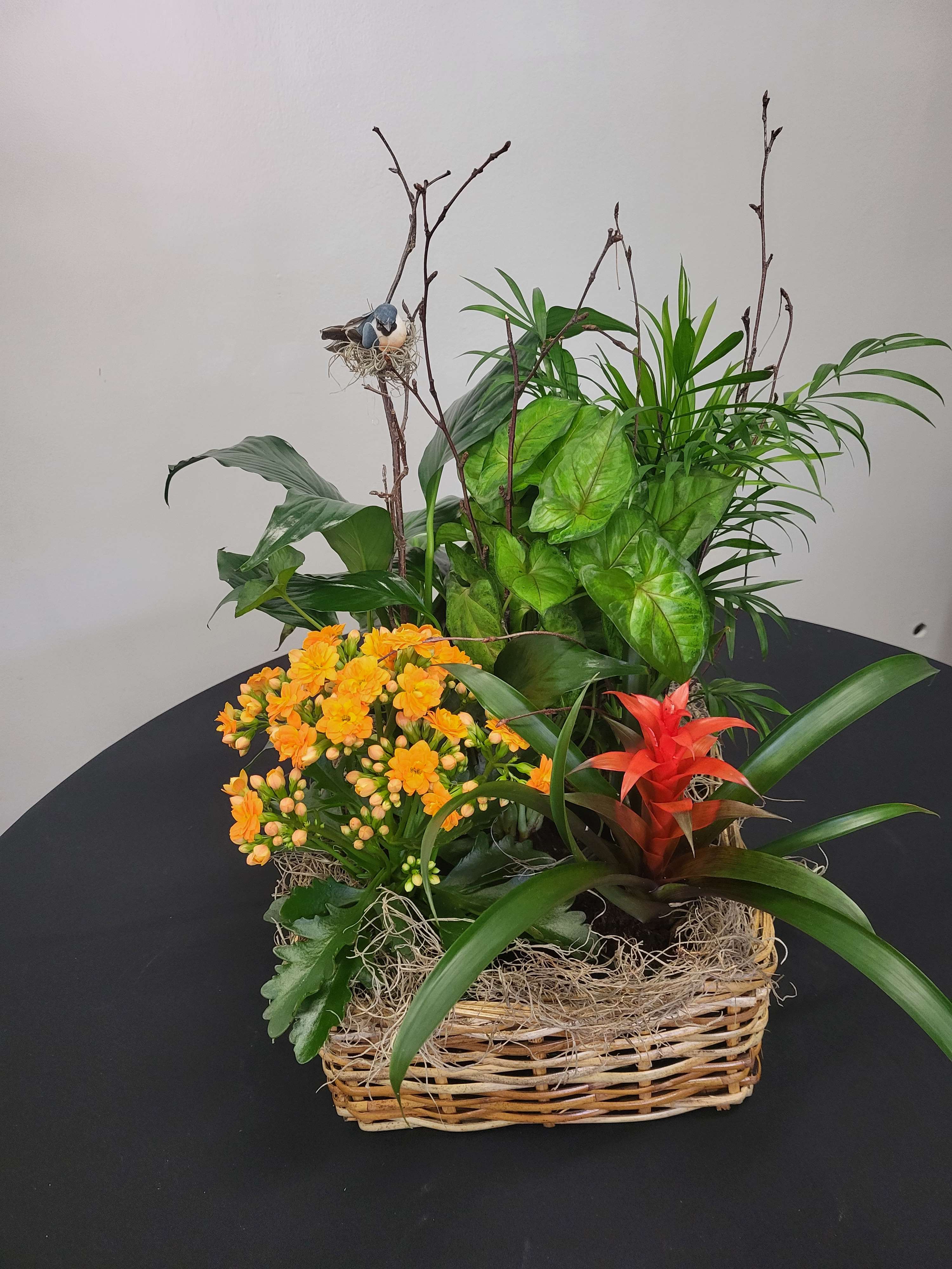 European Garden Basket - &quot;Give the gift of lasting beauty with our exquisite basket filled with a lovely selection of blooming and long-lasting foliage plants, complete with a small orchid plant in our $125 and $150 options. Each week, our European garden may offer a unique array of colors and varieties, but rest assured, the overall look and plant count will always match the picture. It's a timeless gesture that continues to grow and thrive, bringing joy and freshness into any space it graces. Whether for a special occasion or just because, this enduring gift is sure to be cherished for a long time. &quot;