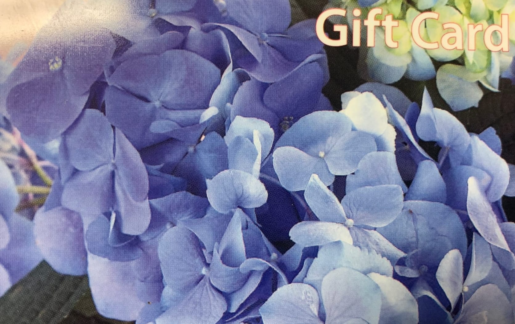$75 Gift Card - Introducing the Exceptional Flowers &amp; Gifts $75 Gift Card, the perfect gift for anyone who appreciates the finest in floral arrangements, artisan chocolates, balloons, teddy bears, or handmade soaps. This versatile gift card can be used for pick-up or delivery of exceptional products within our local area, including Boca Raton, Delray Beach, Deerfield Beach, Boynton Beach, and Highland Beach.  With the Exceptional Flowers &amp; Gifts $75 Gift Card, your recipient will have the opportunity to indulge in the beauty and fragrance of our exquisite flower arrangements. Our skilled florists create stunning arrangements using the highest quality blooms, ensuring that each bouquet is a work of art that brings joy and delight to its recipient. From classic roses to vibrant mixed arrangements, there is something for every taste and occasion.  For those with a sweet tooth, our artisan chocolates are a true delight. Made with the finest ingredients and crafted with exceptional skill, these chocolates offer a decadent experience and will delight the senses. Whether it's a box of assorted chocolates, chocolate-covered strawberries, or a custom-made chocolate creation, our selection is sure to satisfy even the most discerning chocolate lover.  Balloons add a touch of fun and celebration to any occasion, and our collection of balloons is sure to bring a smile to anyone's face. From cheerful and colorful designs to elegant and glamorous options, there is a balloon for every celebration. Let your loved one bask in the joy and excitement that balloons bring with our diverse selection.  Our collection of soft and cuddly teddy bears is perfect for those who appreciate a heartfelt and adorable gift. Whether for a child or a loved one, these plush companions are sure to bring comfort and warmth. From classic bears to whimsical characters, each teddy bear is made with the utmost care and attention to detail.  Handmade soaps provide a luxurious and pampering experience. Our selection of artisan soaps is crafted with natural ingredients, nourishing the skin and leaving it feeling soft and supple. The enticing scents and beautiful designs make these soaps a treat for the senses, creating a spa-like experience in the comfort of one's own home.  With the Exceptional Flowers &amp; Gifts $75 Gift Card, you can be confident that your recipient will be able to choose the perfect gift to suit their preferences. Whether they opt for a stunning floral arrangement, delectable chocolates, festive balloons, adorable teddy bears, or indulgent handmade soaps, their gift will be a reflection of your thoughtfulness and generosity.  Present your loved one with the Exceptional Flowers &amp; Gifts $75 Gift Card and let them discover the joy of choosing their own exceptional gift. Whether for a special occasion or just to brighten someone's day, this gift card is the gateway to a world of beauty, joy, and heartfelt surprises.