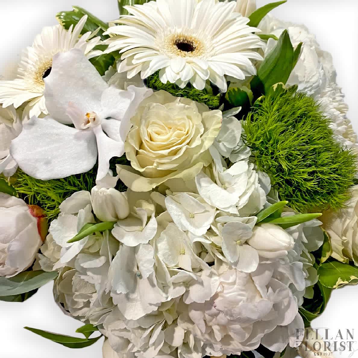 Whites and Greens Arrangement - A Mix of Hydrangeas, Orchids and Daisies. Paired with luscious greens