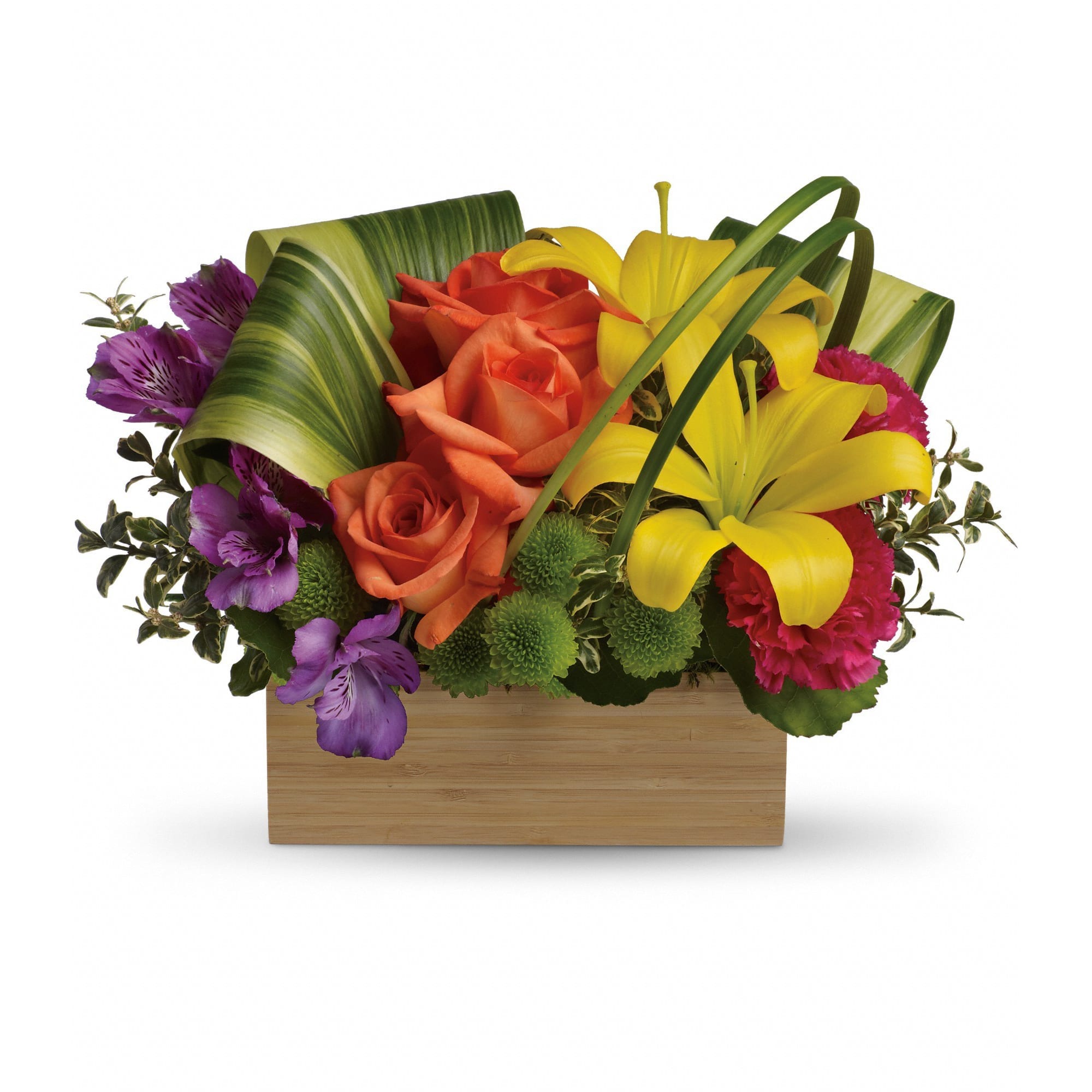 Teleflora's Shades Of Brilliance Bouquet - Send her a rainbow! Golden lilies, radiant roses and regal alstroemeria burst brilliantly from a contemporary bamboo box. What a chic, stunning way to brighten her day!  Gorgeous orange roses, yellow asiatic lilies, purple alstroemeria, hot pink carnations and green button spray chrysanthemums are arranged in a rainbow assortment with variegated aspidistra, lily grass and oregonia. Delivered in a Bamboo Rectangle vase.  Approximately 14&quot; W x 10&quot; H  Orientation: One-Sided  As Shown : TEV32-3A Deluxe : TEV32-3B Premium : TEV32-3C