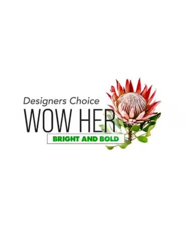 Designer's Choice - WOW Her - Let our talented designers create an floral arrangement using the freshest bright and bold flowers that are sure to WOW anyone; perfect for any occasion.