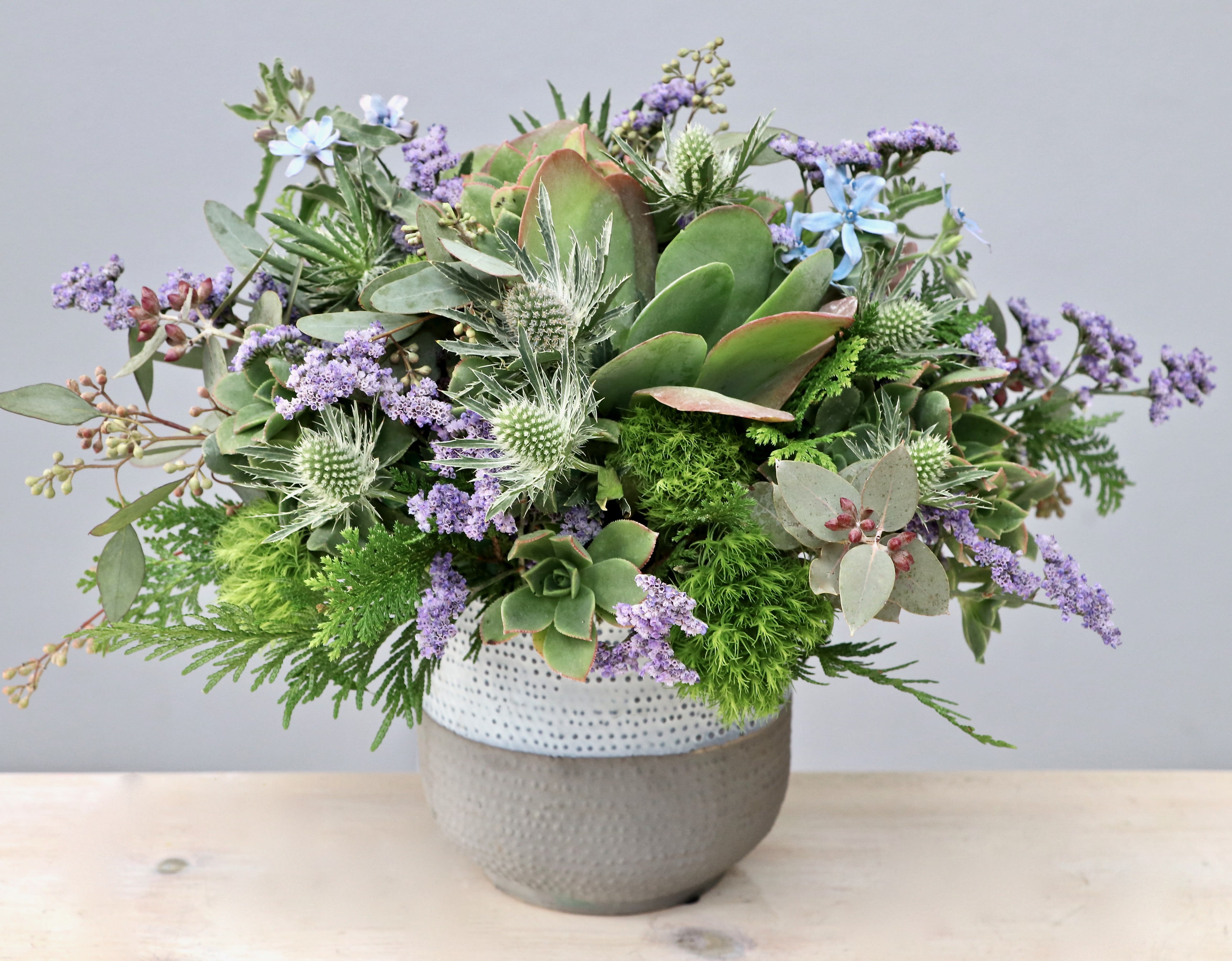 Forget Me Not - My Glendale Florist - With a mix of succulents, seasonal greens, and a sparkly vase, you're bound to make an impression this holiday season.   Standing about 10&quot; high, this arrangement makes for a special treat to the office any day!