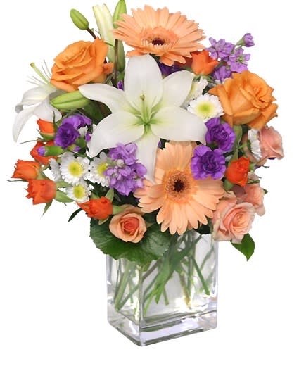 SWEET GEORGIA PEACH SWEET GEORGIA PEACH - 5 1/2" rectangular vase foliage: galax leaves, salal 2 peach gerberas 1 stem deep-orange spray roses 2 peach roses 2 stems white & green button poms 1 stem white Asiatic lilies 2 stems purple 'Moonshadow' mini carnations 1 stem peach spray roses 2 stems lavender stock