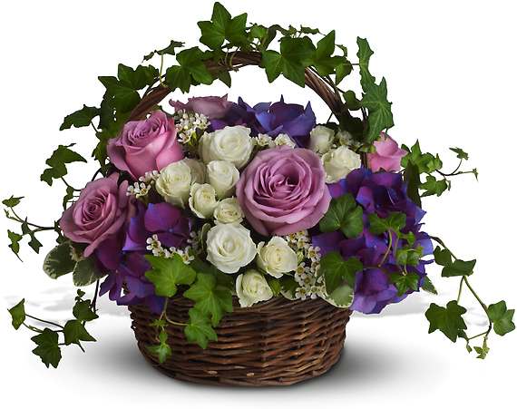 A FULL LIFE - Lush flowers to celebrate a full life. This beautiful basket of flowers for a funeral or home evokes the natural beauty of life with purple hydrangeas, lavender and white roses and winding green ivy.  