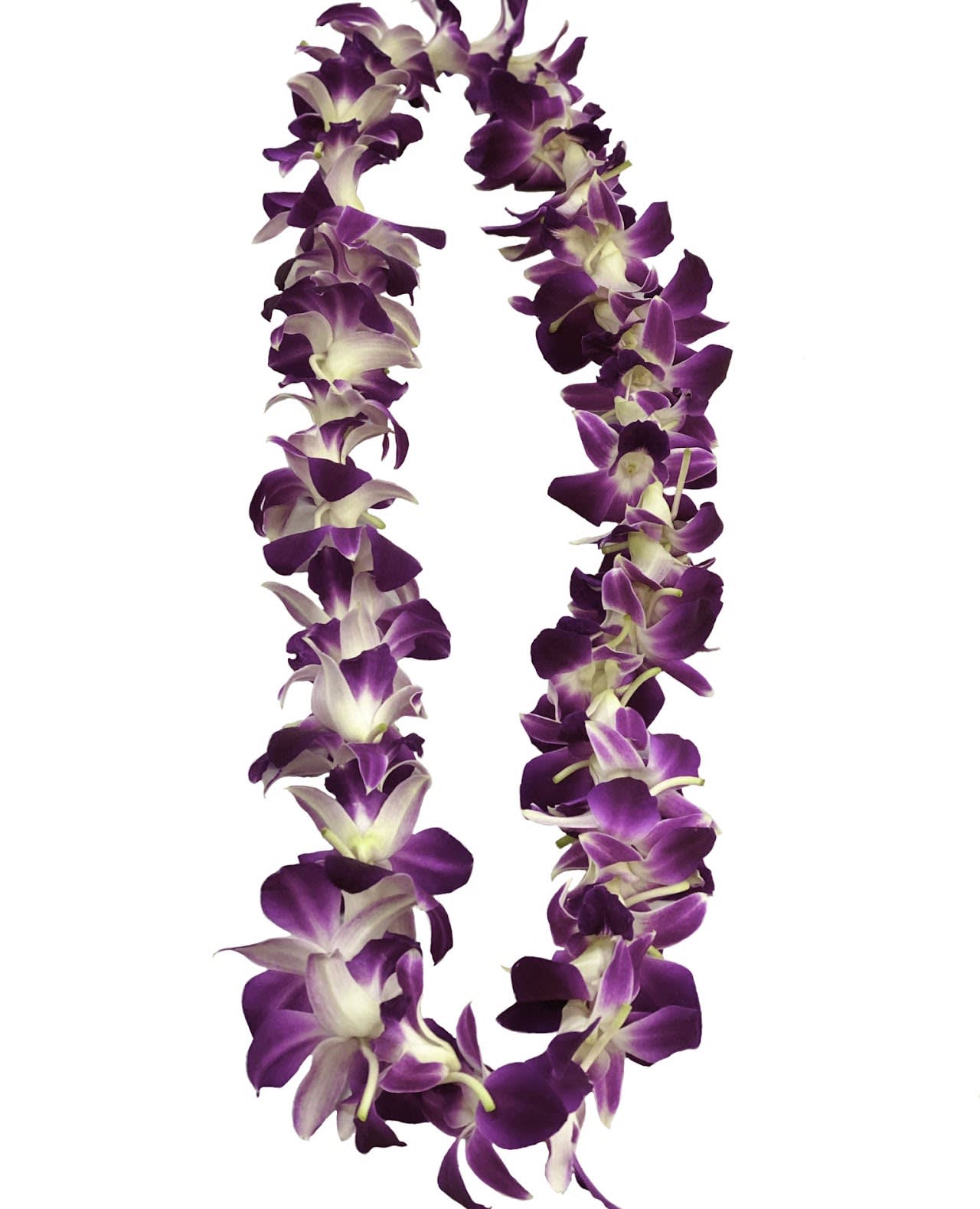 Purple single orchid lei Purple single orchid lei - Beautiful single purple orchid lei