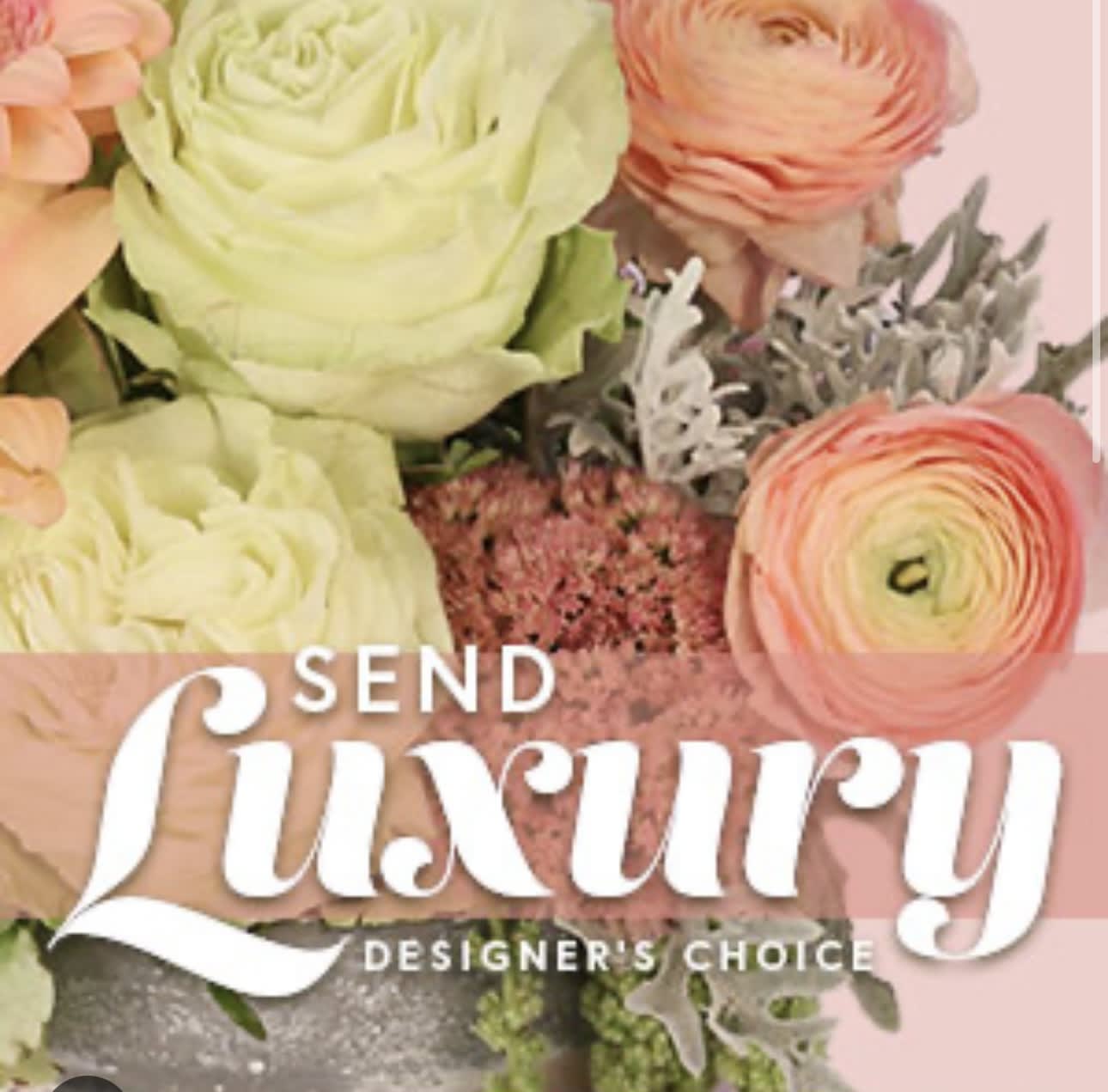 Luxury Designer Choice  -    Let the designer create a beautiful arrangement .This enchanting arrangement features of gorgeous  selection of flowers .Complemented by delicate ranunculus  ,and garden roses .Luxury Designer arrangement is a perfect way to express your love and appreciation for someone special in your life . Premium options with champagne or wine , by your request . Surprise your loved ones  today . 
