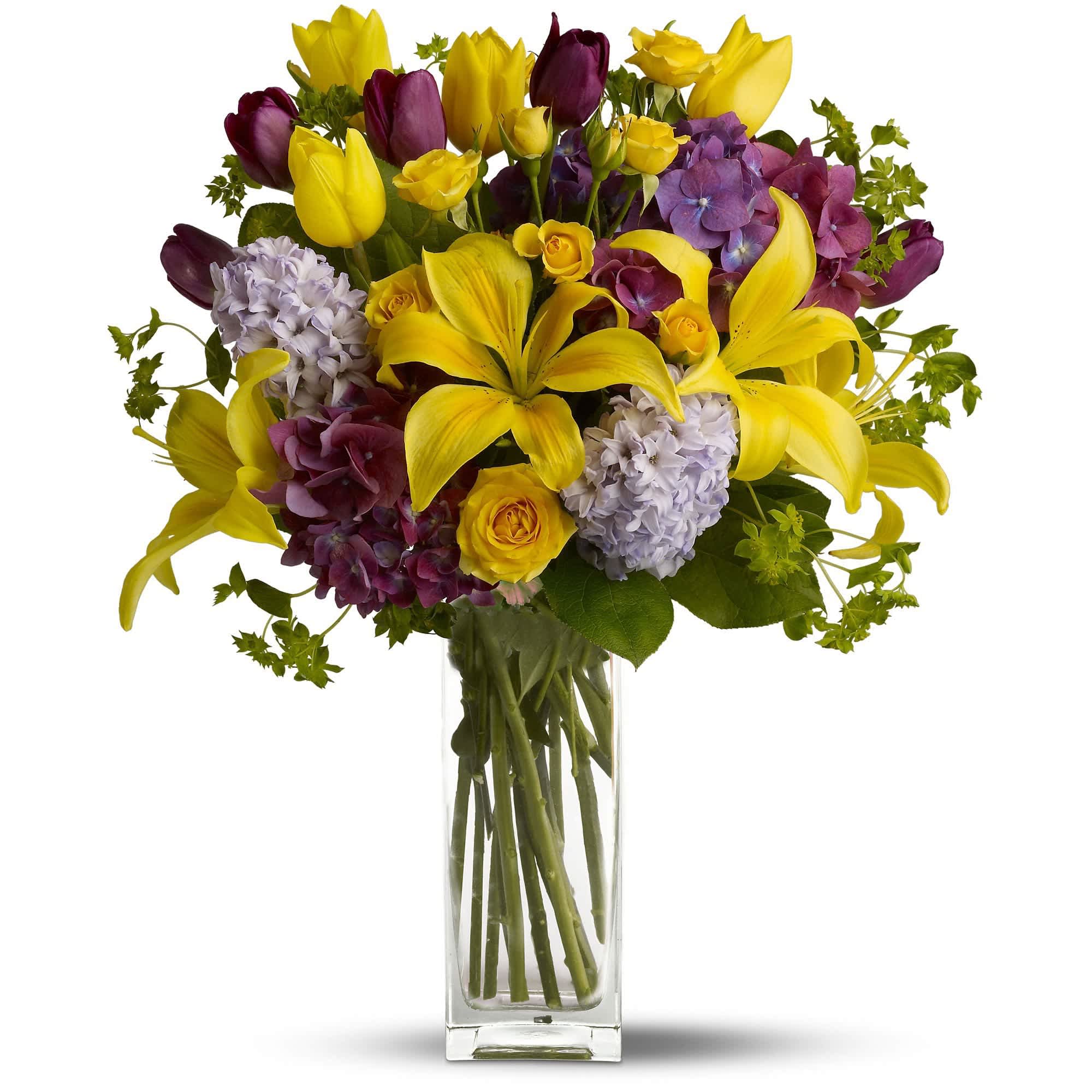 Teleflora's Spring Equinox  - As beautiful as the beginning of spring, this brilliant bouquet carries the feeling of the sunshine on your skin after a long cold winter.  Let the spring celebration begin with purple hydrangea and tulips, yellow spray roses, and even more tulips along with sunny asiatic lilies, lavender hyacinth plus green bupleurum and salal in a clearly beautiful bunch vase.  Approximately 13&quot; W x 20&quot; H  Orientation: All-Around      As Shown : T148-1A     Deluxe : T148-1B     Premium : T148-1C  