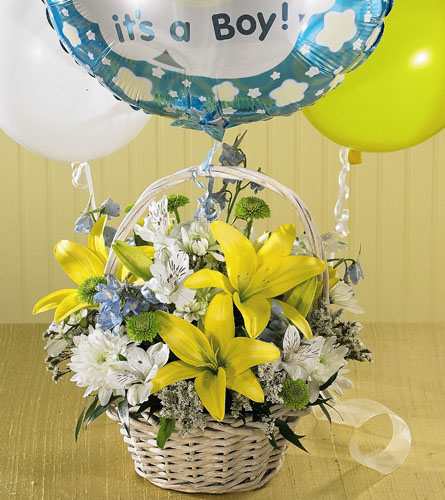 Boys Are Best! Bouquet Boys Are Best! Bouquet - Celebrate the arrival of the new baby boy with this handled whitewash basket of yellow Asiatic lilies, green pompons, blue delphinium and white alstroemeria. A mylar balloon floats above the basket and proclaims to all the world that, It's A Boy!