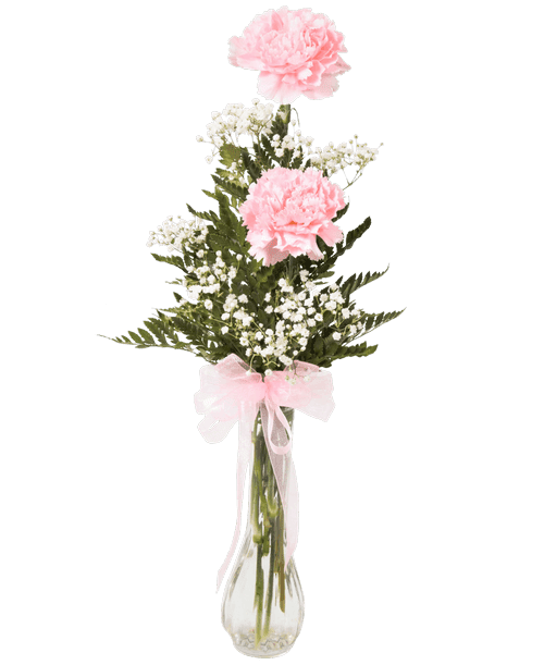 Carnation Vase Carnation Vase - Carnations are believed to have first appeared on earth from the Virgin Mary's tears – making them the symbol of a mother's undying love.