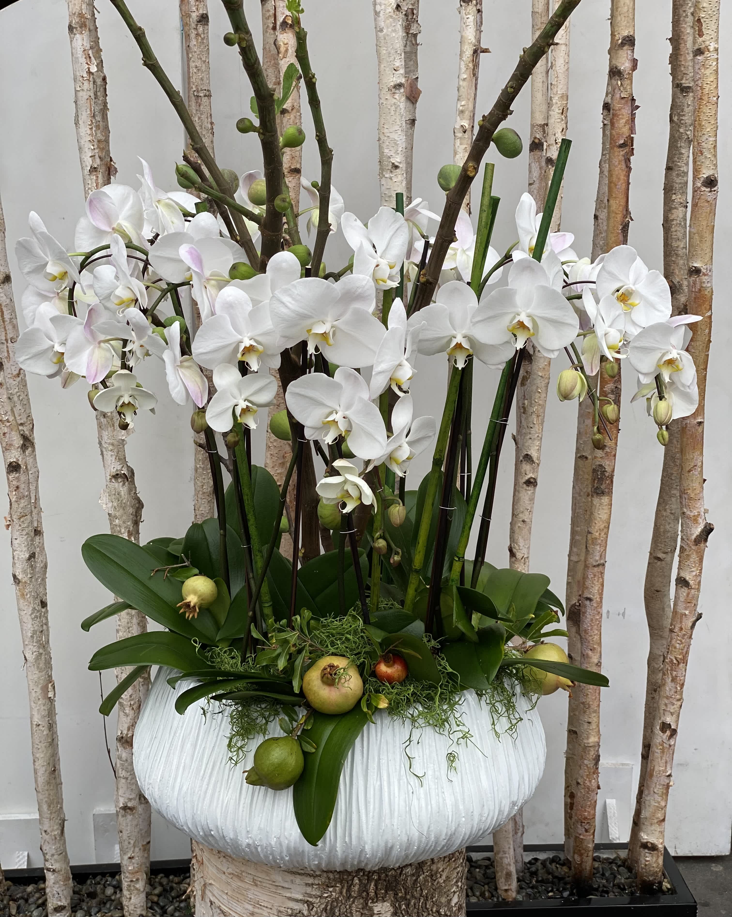 Passover Orchids - White Orchids beautifully arranged in a white ceramic up to 10 stems