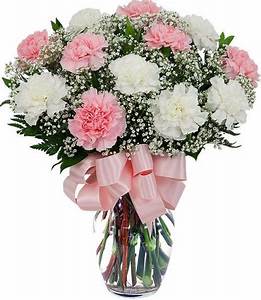 Fancy Lady Fancy Lady - Pink and white carnations a classic way to show your affection or just to bring a smile to someone's face.
