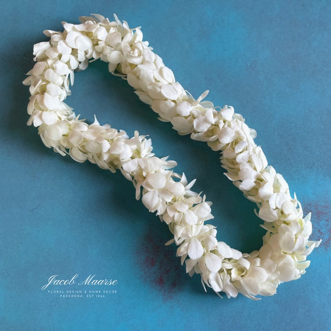 White Orchid Double Lei  /  Please allow a lead time of 24 hrs for pick-up - A beautiful White Dendrobium Orchid Lei. Perfect the Grad in your life!