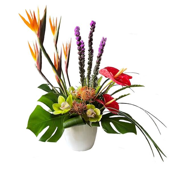 Tropicana - Our Tropicana arrangement adds a burst of vibrant color and will transport your loved one to a lush oasis of serenity. Overall size is approximately 20in (W) x 28in (H).  Standard - 5 Birds of Paradise, 4 Liatris, 2 Red Anthurium, 3 Cymbidium Orchid Blooms, 2 Pincushion Proteas, Monstera Leaves and Tropical Greenery - White Ceramic Container  Deluxe - 5 Birds of Paradise, 5 Liatris, 3 Red Anthurium, 4 Cymbidium Orchid Blooms, 1 Pink Ice Protea, 2 Pincushion Proteas, Monstera Leaves and Tropical Greenery - White Ceramic Container  Premium - 6 Birds of Paradise, 5 Liatris, 3 Red Anthurium, 4 Cymbidium Orchid Blooms, 1 Pink Ice Protea, 3 Pincushion Proteas, 5 Bombay Dendrobium Orchids, Monstera Leaves and Tropical Greenery - White Ceramic Container  Care Tips: Place your bouquet in a cool location. Don't put the arrangement in direct sunlight, near heating or cooling vents, in drafty places, directly under ceiling fans, or on top of televisions or radiators. Check water level daily, keep the vase full with clean water. Change water every 2-3 days and apply a sharp fresh cut to the stems. This process will ensure extended flower's life span.