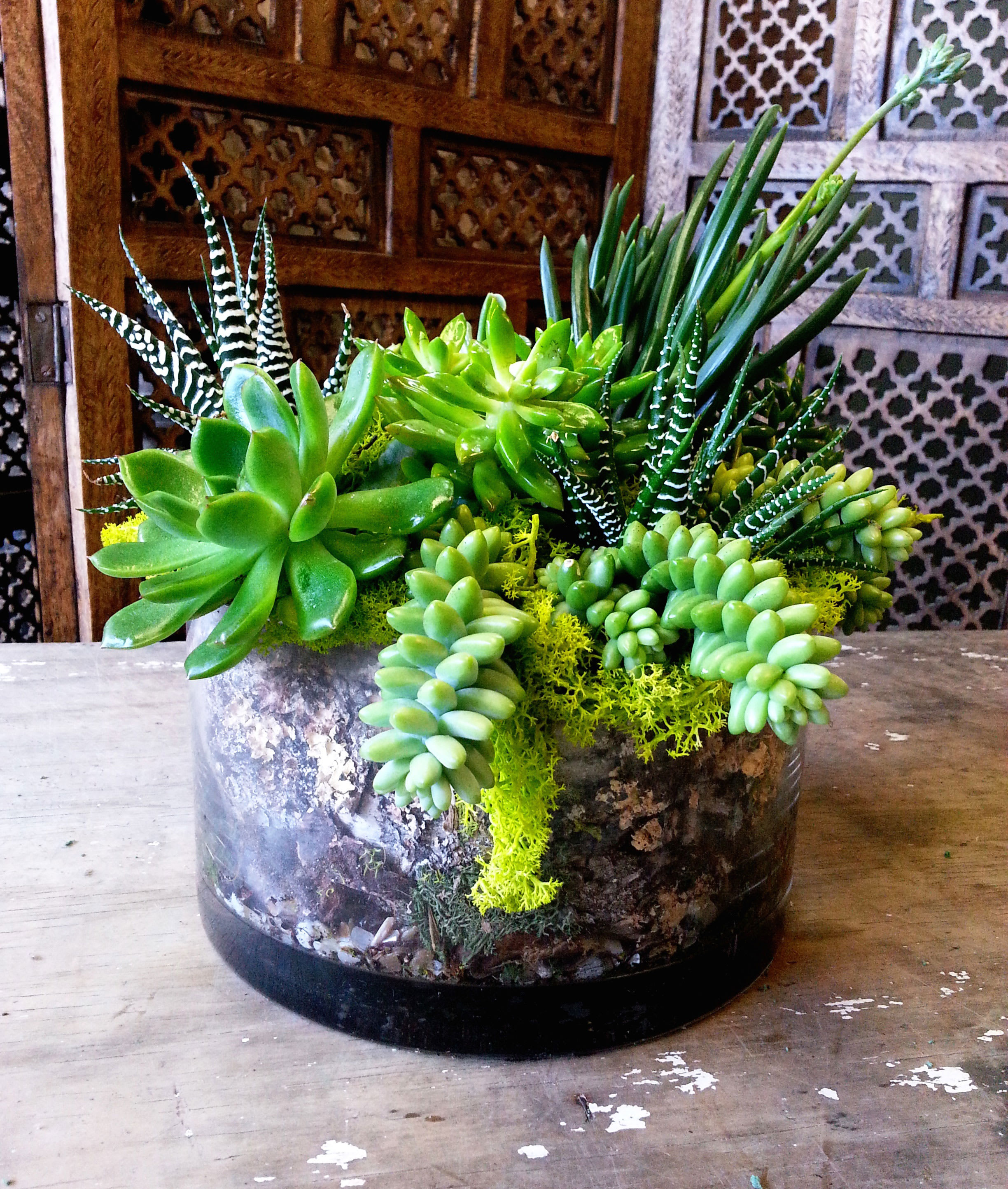 Organic Garden - Beautiful mix of succulent plants in a blown glass vessel with mosses, barks...