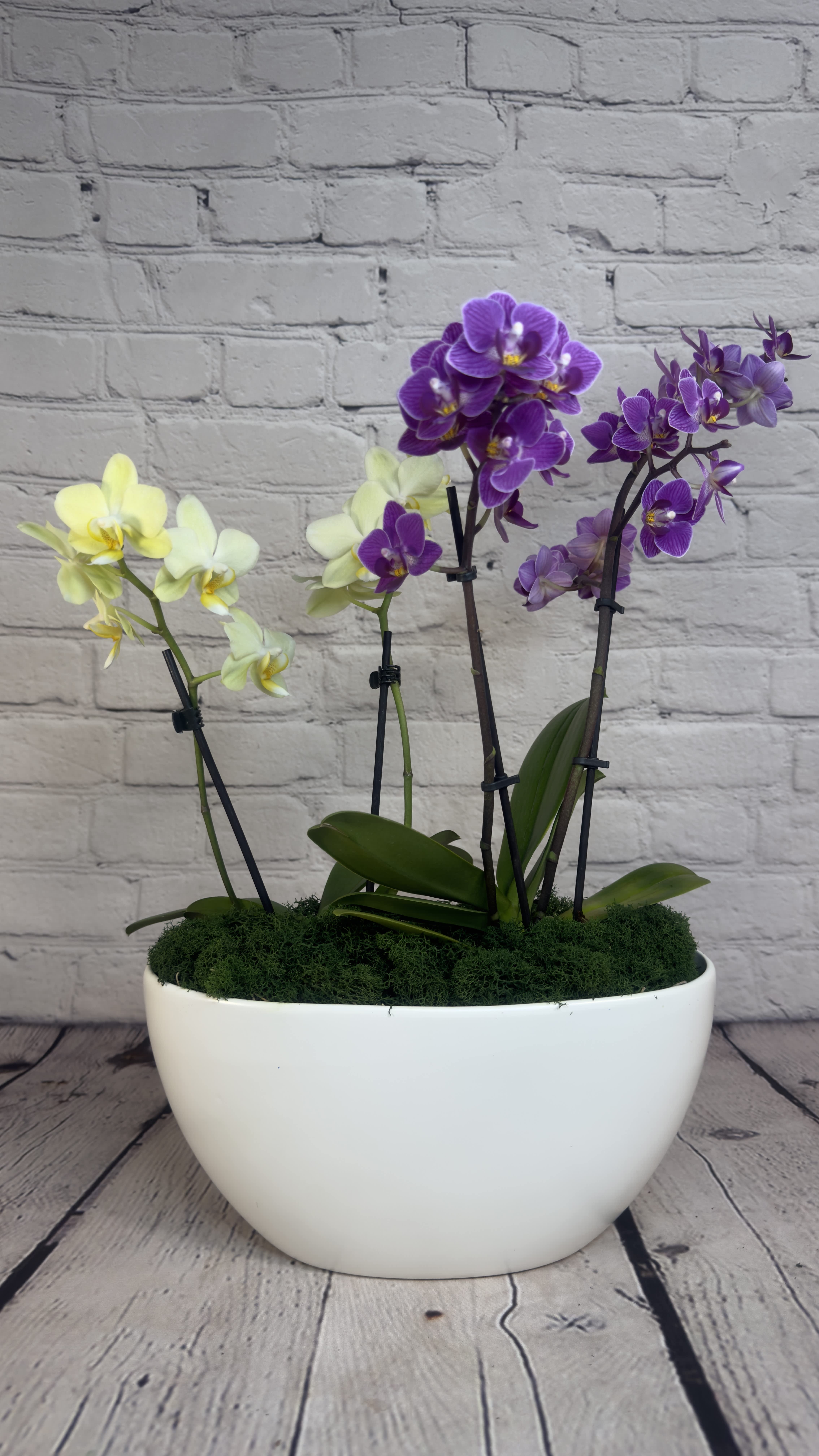 Orchid Delight  - Our &quot;Orchid Delight&quot; is a captivating floral arrangement that brings natural beauty and elegance to any space. This stunning product features four beautiful stems of orchids, carefully selected for their exceptional quality, color, and texture. The orchids are arranged in a pristine white ceramic vase, adding a touch of modern refinement to the overall design.  The &quot;Orchid Delight&quot; is a perfect gift for any occasion, from expressing love and admiration, to wishing someone good health and well-being. It is also an excellent choice for giving as a corporate gift, adding charm and sophistication to any office or business environment.  