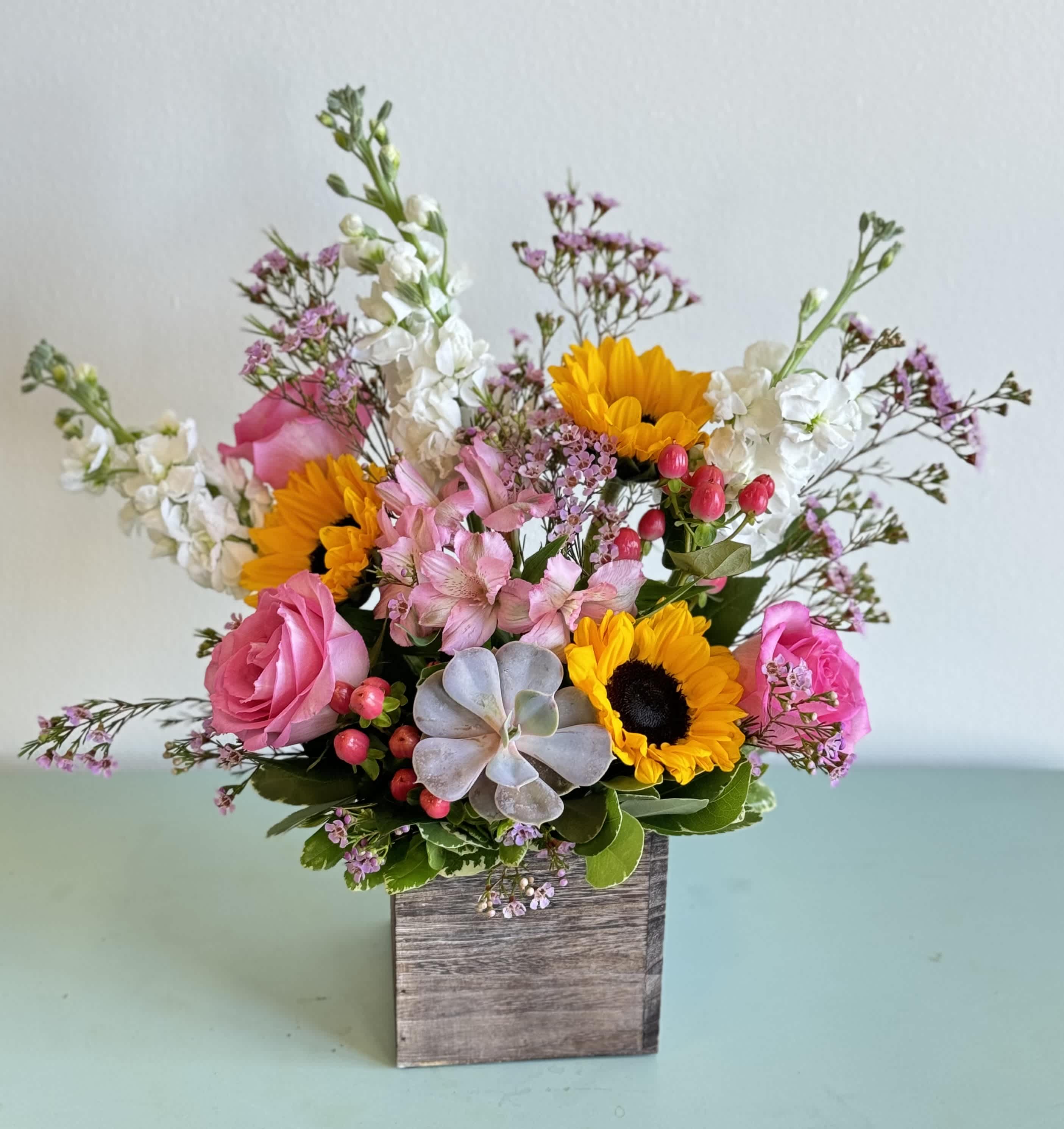 Succulent Sunny Garden by Bay Hill Florist