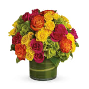 Blossoms in Vogue - Our elegant version of this is made with full-size mixed roses, green hydrangea.and bright mums. Very colorful!