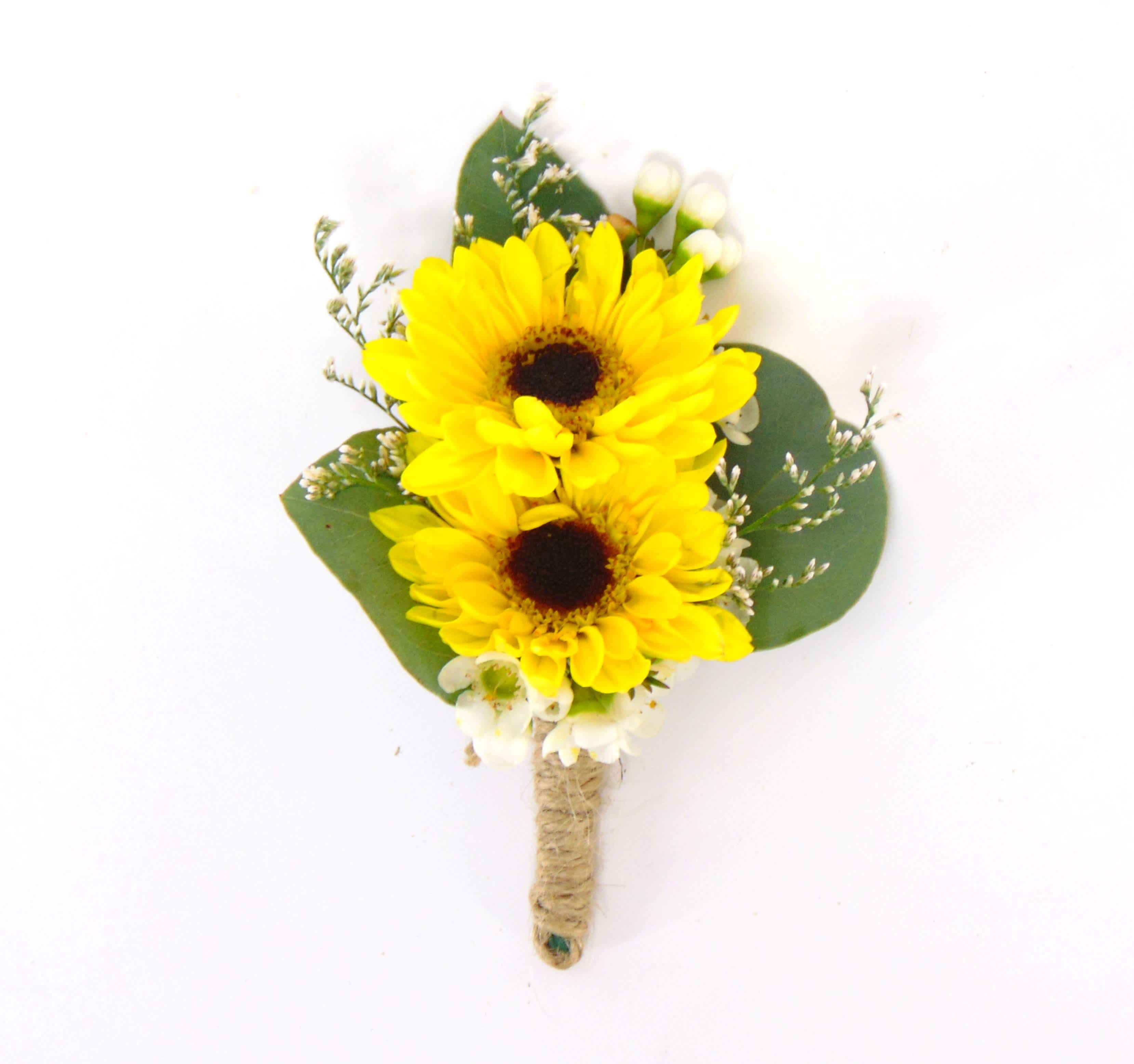 Double Viking Mum Boutonniere - Two mini sunflower-viking mums, white limonium, touch of white waxflower, eucalyptus greens and twine wrap, Includes a clear gift box.