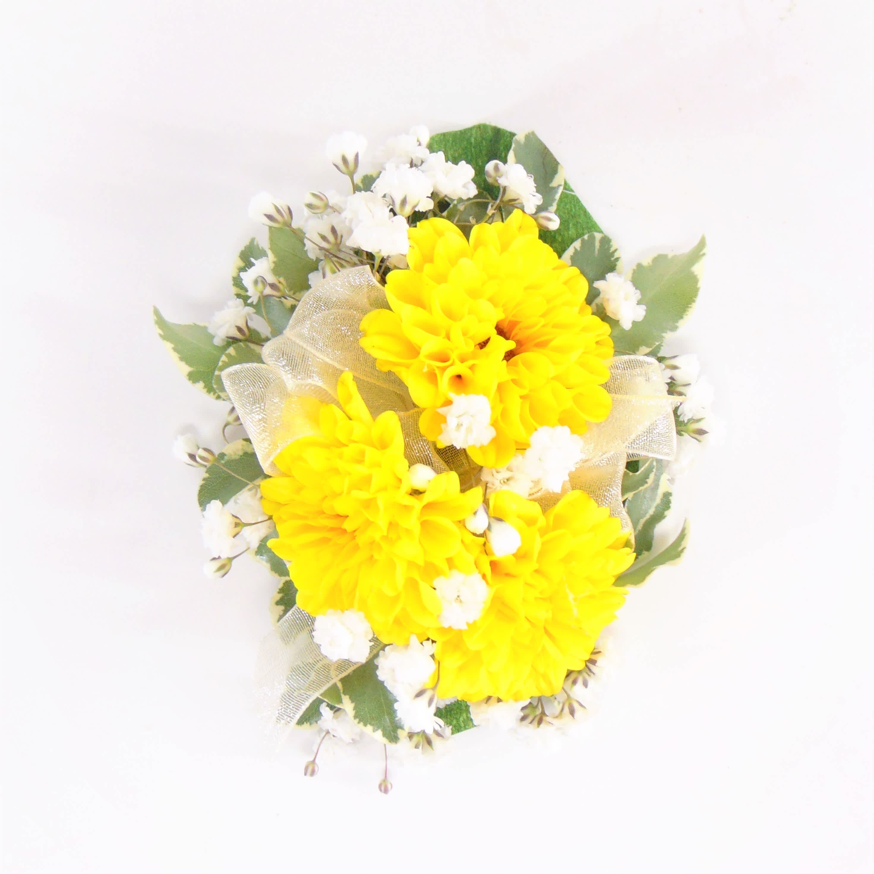 Mini Sunflower &amp; Ivory Wrist Corsage - Three mini sunflower viking mums, sheer ivory ribbon, baby's breath and greens on a standard wristlet. Deluxe option adds bling. Premium option includes bling and adds a beaded wristlet Displayed in a clear corsage box.