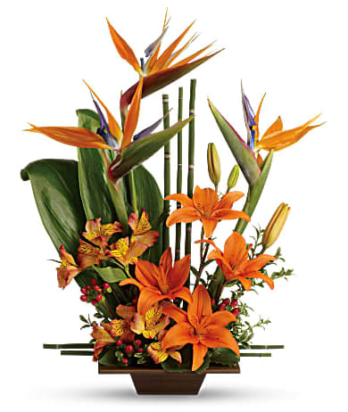 BEAUTY EXOTIC - This beautiful creation is composed of vibrant colors and exotic flowers, perfect for any occasion.  In some instances, our photo may represent an overall theme or look and include a one-of-a-kind vase which cannot be exactly replicated. Although the actual bouquet may not precisely match the photo, its temperament will. Occasionally, substitutions of flowers and/or containers happen due to weather, seasonality and market conditions which may affect availability. If this is the case with the gift you’ve selected, we will ensure that the style, theme and color scheme of your arrangement is preserved and will only substitute items of equal value or higher value. If any design elements are of major importance to your order, please include them in the florist instructions at checkout or contact us to ensure availability.   