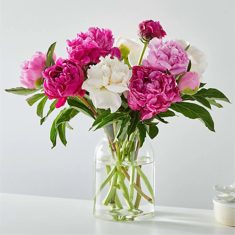 Peoney Bouquet  - Introducing our beautiful peony arrangement, featuring 10 stunning stems of the most exquisite and fragrant peonies. These romantic and lush flowers are hand-selected and expertly arranged to create a breathtaking display of color and texture. The soft, billowy petals and delicate shades of pink and white make this arrangement perfect for weddings, birthdays, or any special occasion. Order now and let us bring the beauty of peonies to your doorstep.