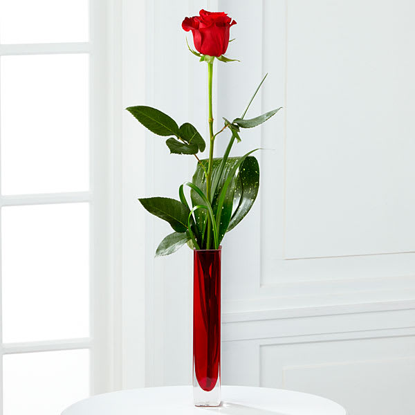The Deeply Devoted Bouquet (vase will vary)  - Our Deeply Devoted Bouquet bursts with elegant, simplicity and divine beauty. A single red rose flaunts its vibrant crimson petals offset by lily grass blades and aspidistra leaf arranged in a square red glass bud vase capturing your most romantic sentiments and offering a message of endless love. 23&quot;H