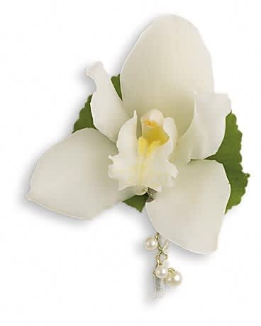 Shimmering Pearls Boutonniere - A purely elegant pairing of white cymbidium orchid with shimmering white pearl details. White cymbidium orchid blossom and galax leaf with pearls.