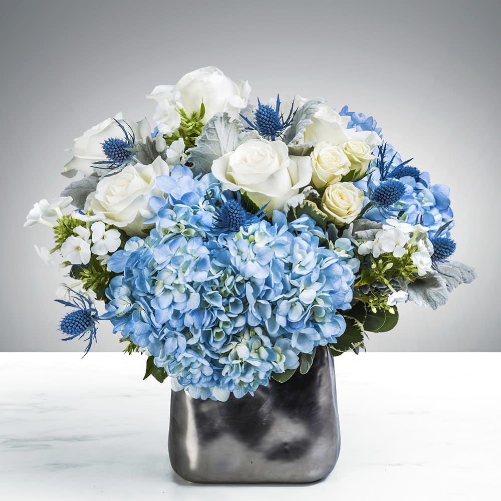 Hanukkah Lights By Cactus flowers  - We are constantly surrounded by lights. Incandescent lights, fluorescent lights, the northern lights. They all serve a certain purpose in making our lives that much more bright and beautiful. This holiday season, light up your nights with Hanukkah Lights.  