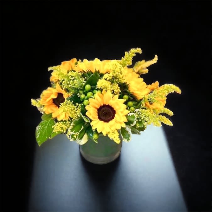 Sunflower Field - Send this bright and beautiful design to cheer up your friends day. Design includes sunflowers, green berries, green and yellow accents in a cylinder vase 