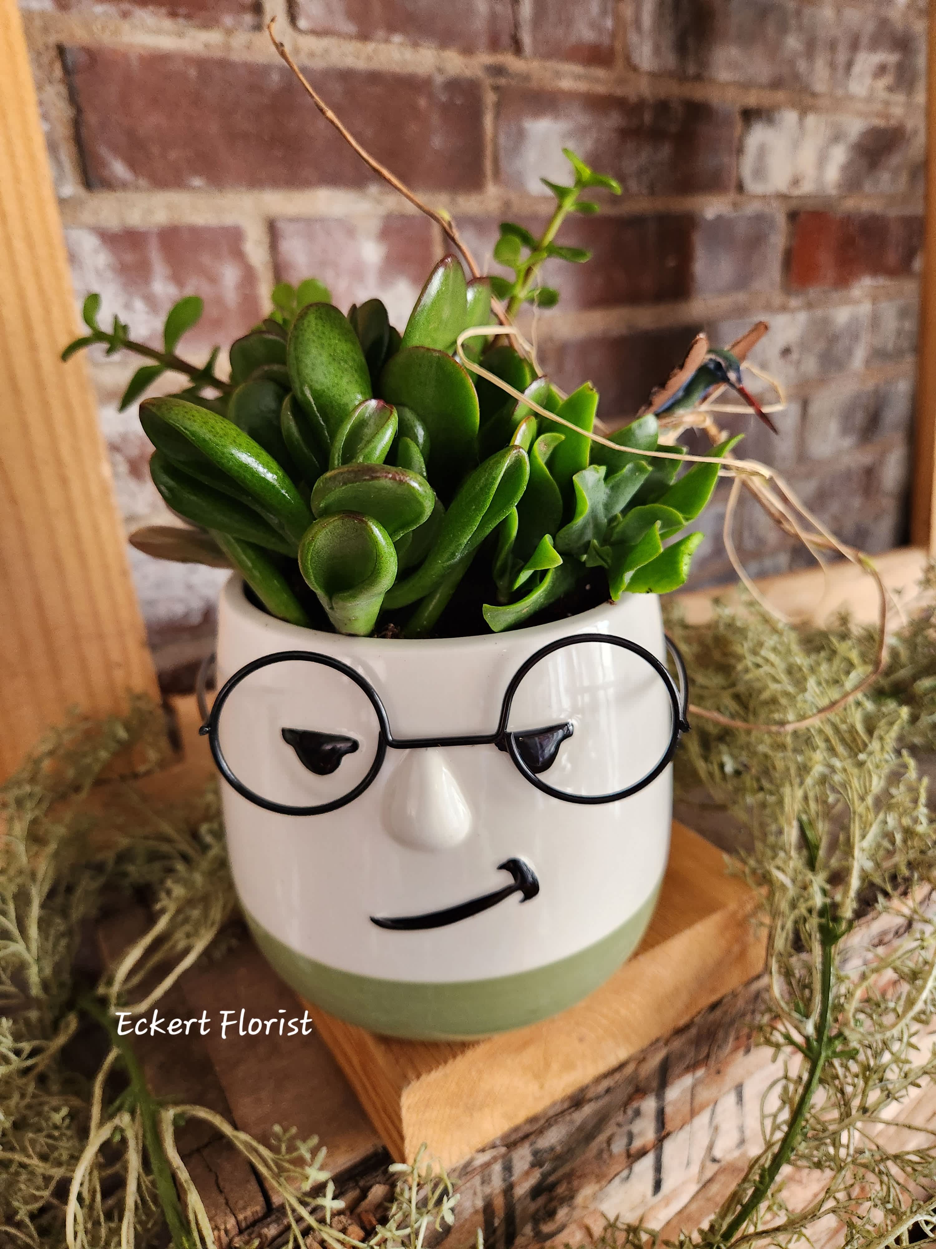 Eckert Florist's Expression Face Succulent Planter *OUR LOCAL DELIVERY ONLY - How cute is this? Filled with live succulent plants, this planter will arrive with our signature bird and twigs. Each planter is unique so expressions on face, bottom color of pot, and succulents themselves may vary. *Our Local Delivery Only 
