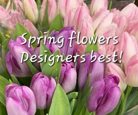 Spring Designer's - Let our designers create a special arrangement for your occasion!!