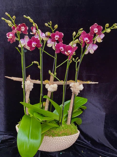 Holiday Gift #5 - Orchid arrangement 