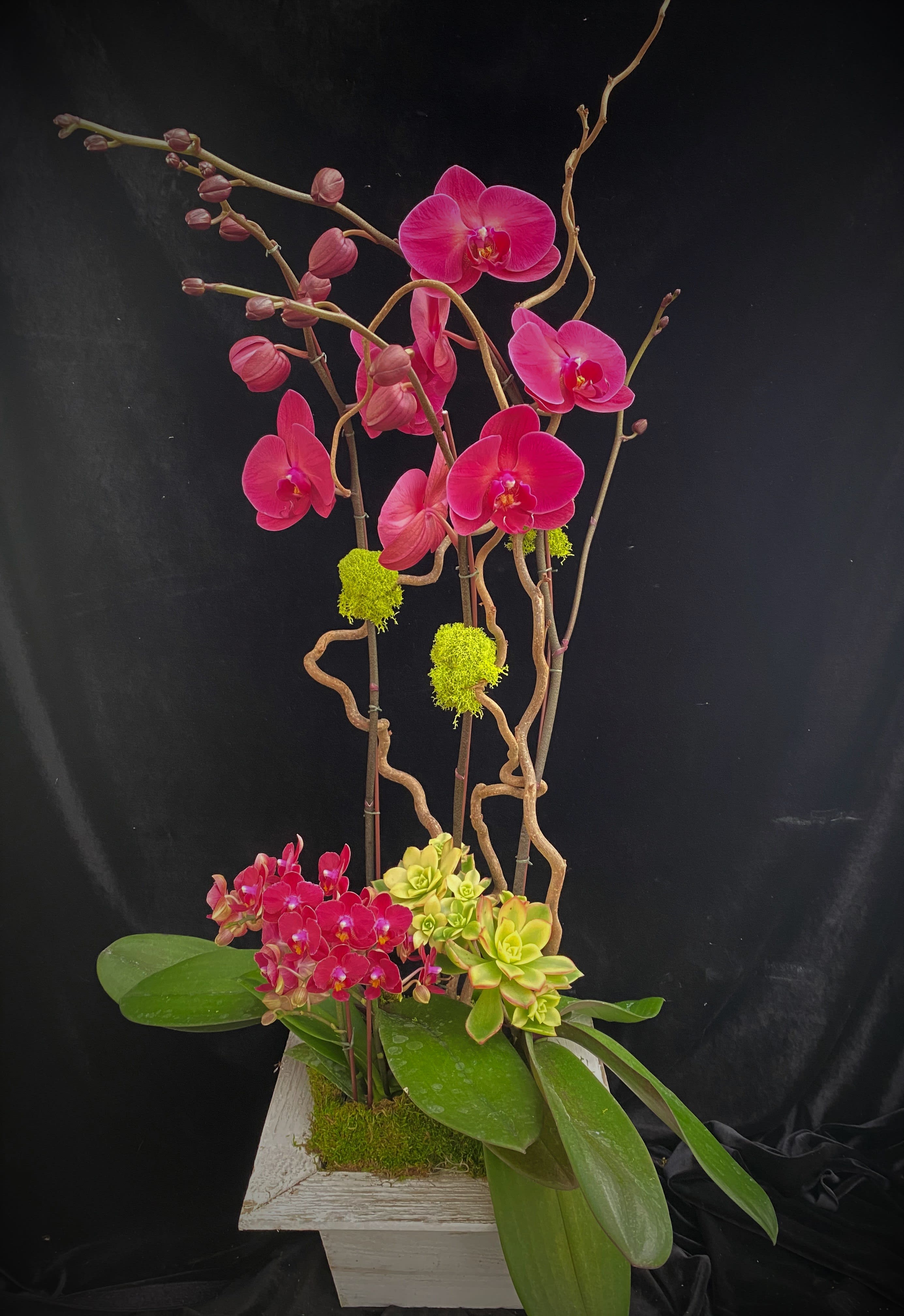 Phalaenopsis Design #4 - Phalaenopsis three spikes and a mini design with decorative branches. 