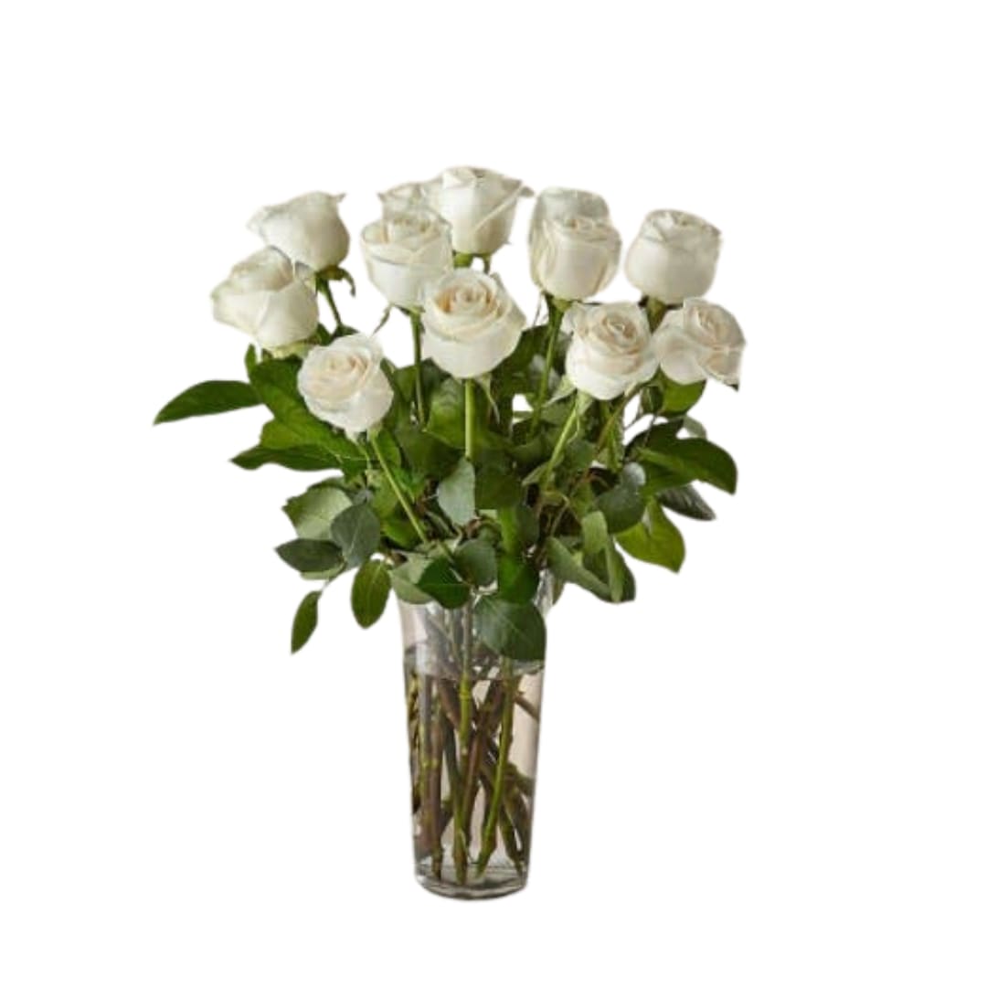 Long Stem White Rose Bouquet - White roses are elegant, luminous, and beautifully accent any room. With a gorgeous selection of crisp white roses among fresh greenery, this bouquet is perfect for birthdays, anniversaries, or as a way to say, &quot;I'm thinking of you.&quot;  The Original Bouquet is approximately 20&quot;H x 15&quot;W.