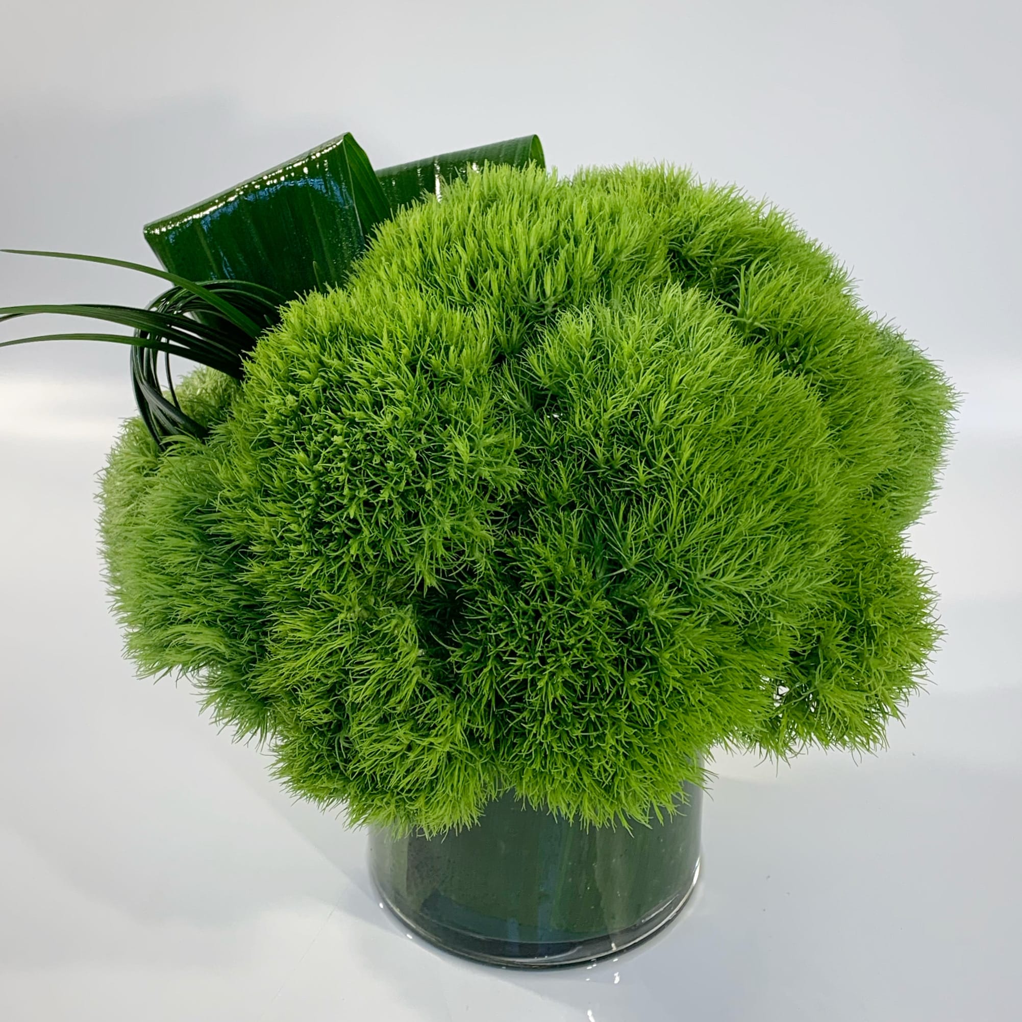 MOSSY - This long lasting modern arrangement is designed with green dianthus blooms, and sculpted greenery evokes the feeling of a mossy woodland. Arranged in a leaf-lined 5&quot; glass vessel. 