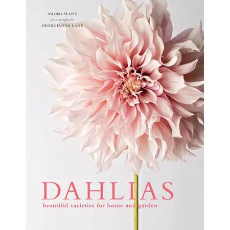 "Dahlias; Beautiful Varieties For Home & Garden" Book "Dahlias; Beautiful Varieties For Home & Garden" Book - The dahlia is a fabulous cutting flower for the home garden. Blooming late summer to the first frost of autumn, this native of Mexico provides explosions of color in home gardens. The author’s commentary unearths the dahlia from its Aztec origins and imparts practical, hands-on knowledge for growing and overwintering these tropical plants in wintry climes. Including classics like Café au Lait and lesser-known varieties like Voodoo and Honka, readers will discover a stunning range of specimens from tiny pompoms to heavy-headed dinner plates, to those that resemble daisies, sea anemones, and even fireworks!
