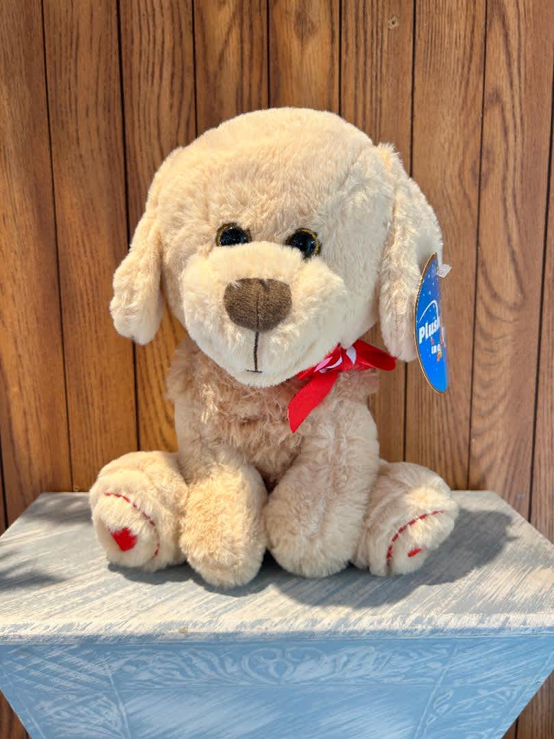 George the Golden Retriever - George the Golden Retriever is simply too adorable for words. With his super fluffy belly, he is the perfect size for cuddling (10&quot;) and makes a cute gift for almost any occasion.