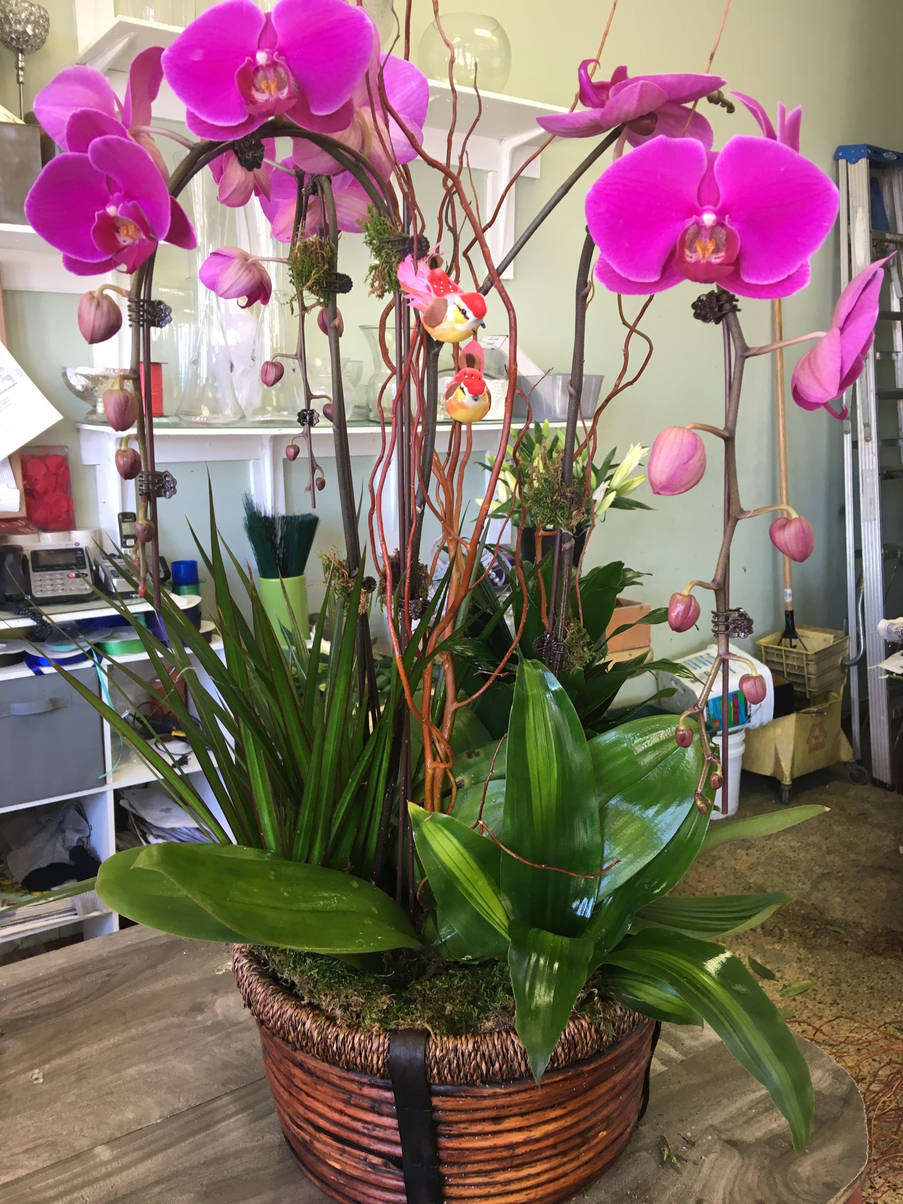 Violet Galore - Multiple of orchids, with plants, curly willow in a beautiful basket