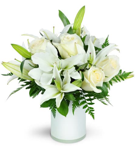 Sweet Notions - This delicate, all-white arrangement is a wonderful way to show your support or sympathy. Elegant, sophisticated, and soothing.  Creamy roses and lilies and gracefully arranged in a white vase with assorted quality greens.  *** Please note that your blooms will reflect the overall style and tone of the pictured arrangement. Exact flower types, colors and vase style may vary and are based on availability.