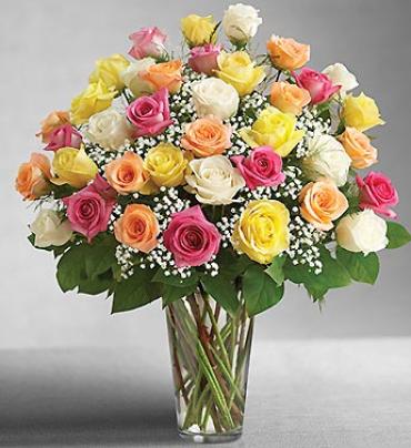 Ultimate Elegance Premium Long Stem Assorted Roses Ultimate Elegance Premium Long Stem Assorted Roses - There's no doubt who the most special person in your life is when you send three dozen premium long-stem assorted roses! (Vase/Basket style may vary) Item # 1064