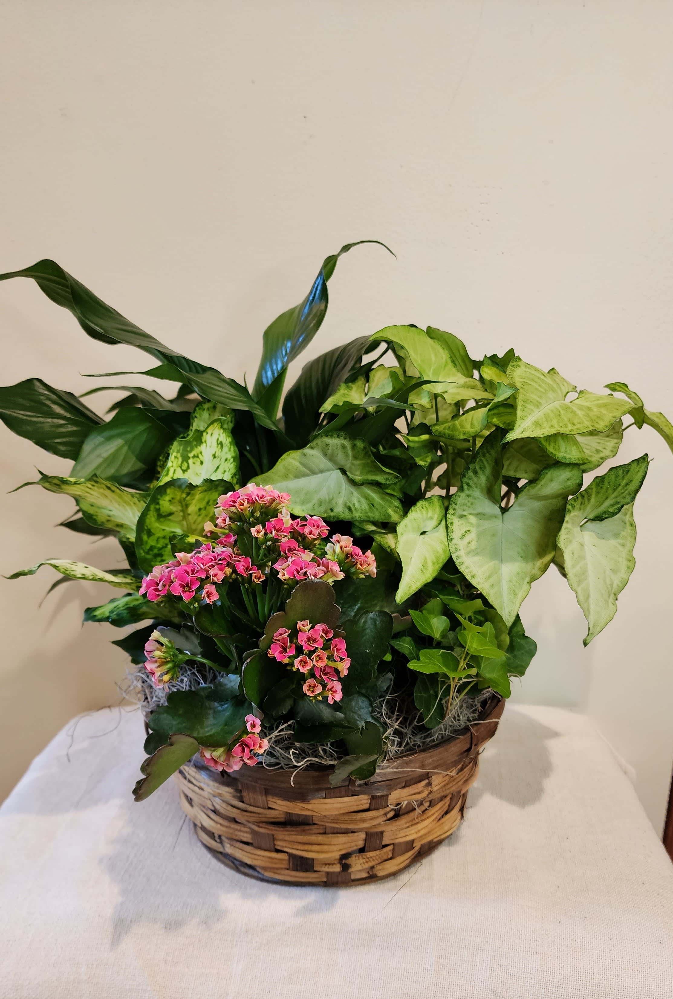 Pink Garden Basket - A seasonal pink flowering plant compliments four other lush, green plants in this 10&quot; wicker basket. This easy to care for, enduring gift will be remembered long after the event.