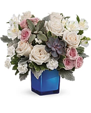 Teleflora's Enchanting Blue Bouquet Teleflora's Enchanting Blue Bouquet - Soft as a whisper, this enchanting bouquet of cream and pink roses looks oh-so-lovely in a cobalt blue glass cube that later becomes a comely candleholder. Crème roses, pink spray roses, white alstroemeria and miniature white carnations are arranged with variegated pittosporum, dusy miller, white sinuata statice and a large, potted green echeveria succulent. Delivered in a Color Splash Cube.