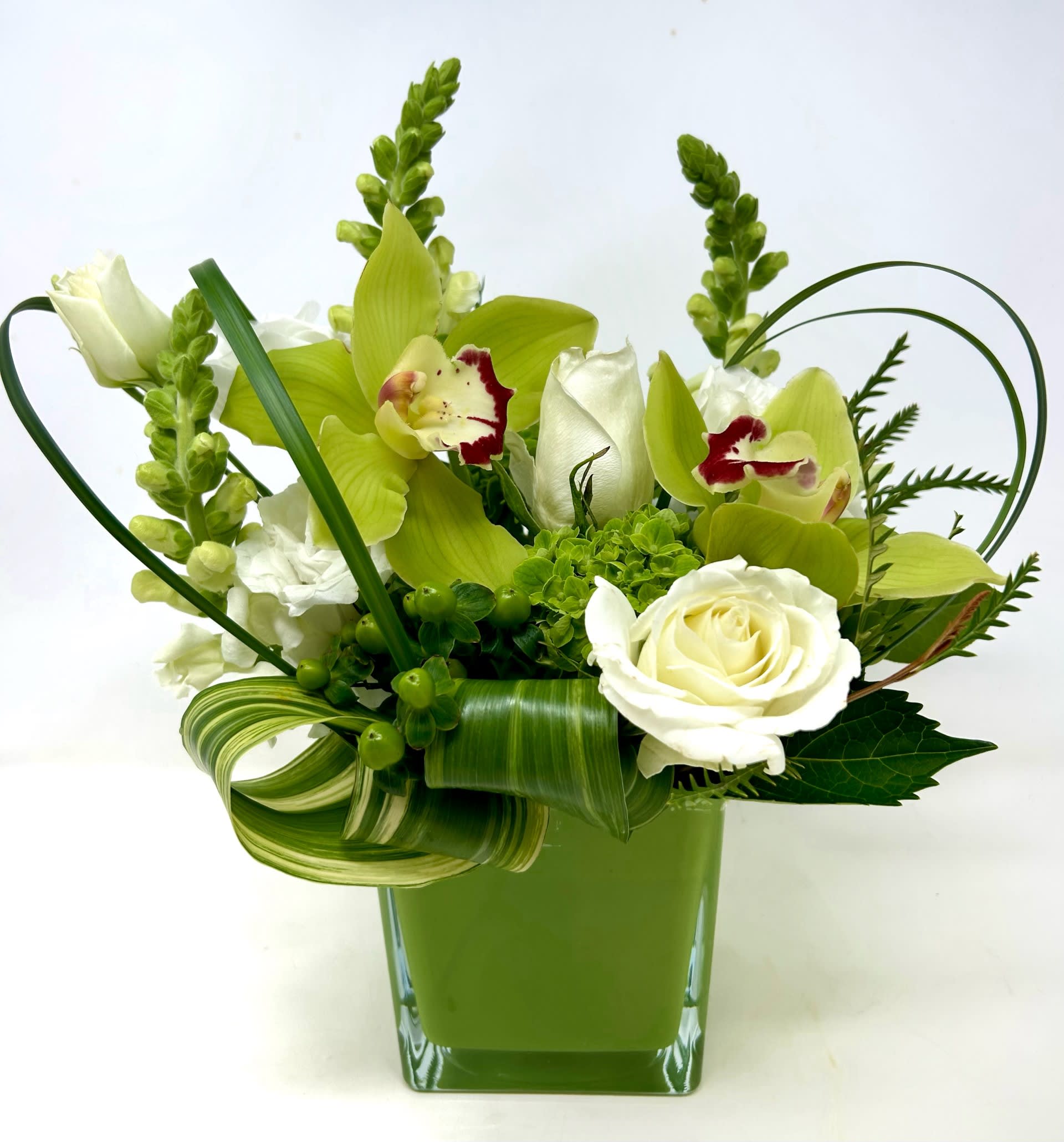 Lime Light - Monochromic arrangement of whites &amp; greens in a green glass cube. Featuring green cymbidium orchids and white roses. 