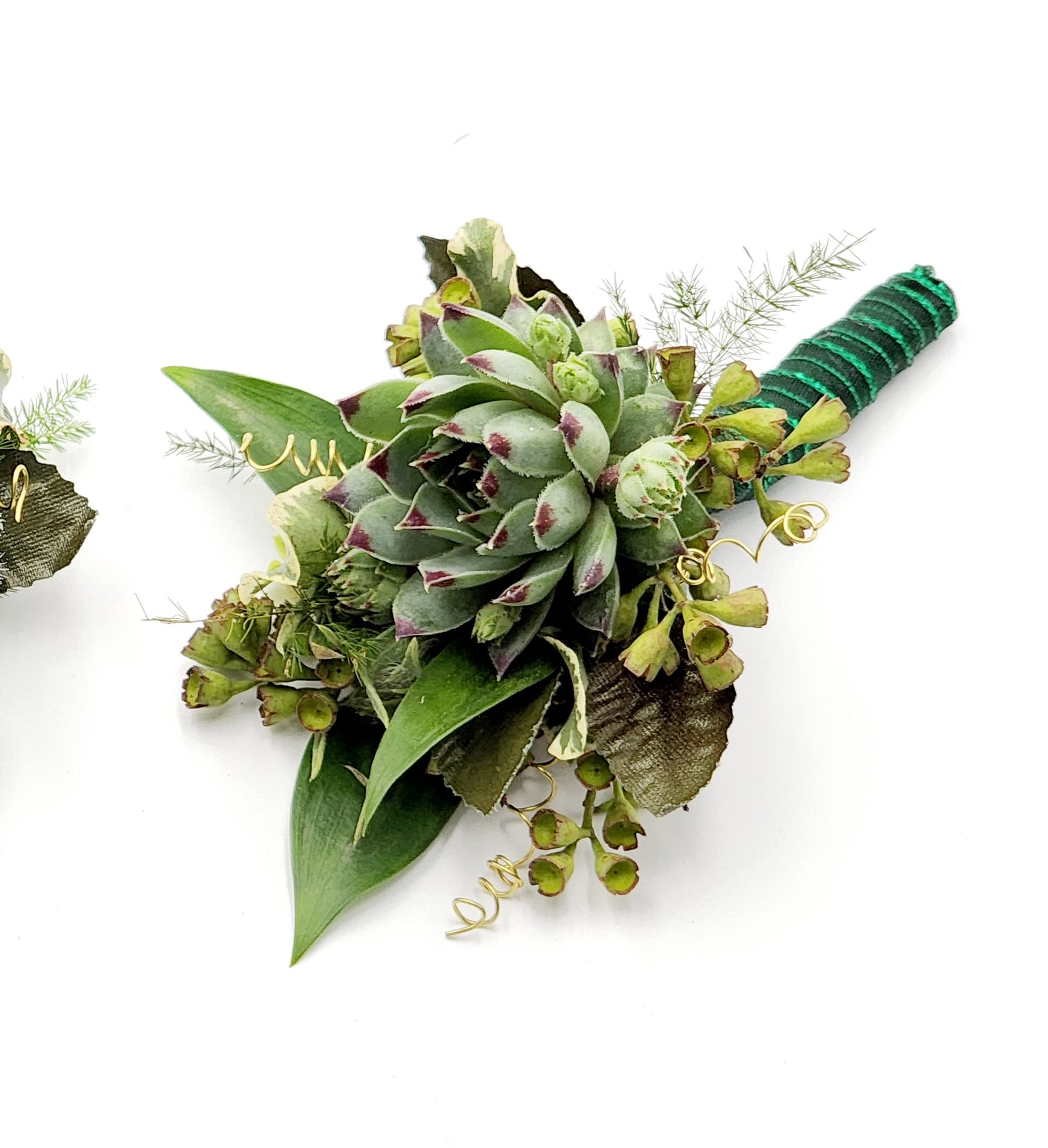 Evergreen Forest Boutonniere Evergreen Forest Boutonniere - A boutonniere of succulents and green ribbon. Depending on availability of ribbon, may change slightly.