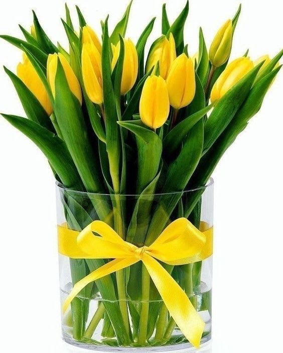 dreamy garden - 30 tulips yellow