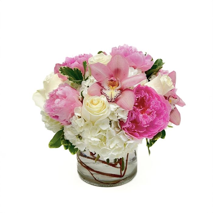 SFD20529 - Cheyenne - White hydrangeas, assorted pink peonies, cream white roses and mauve pink cymbidium orchid blooms are designed in a cylinder vase lined with curly willow.