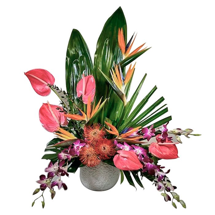 TR5 - Hot Tropics  - Wow is the word that comes to mind when you see this gorgeous arrangement! It will definitely have you dreaming of the Hot Tropics with all of it's bright colors and is perfect for any occasion that needs that Wow Factor!!