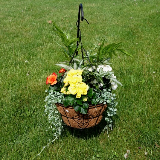 Colorful Begonia Hanging Basket - Orange/Yellow/White begonias with ferns 