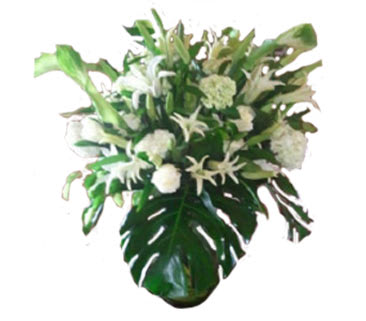 Grand Floral Arranged with Premium Flowers and Premium Vase - An all white extra large flower arrangement with white roses, white lilies, hydrangeas and calla lilies, arranged with greenery in a vase. Approx. 36 inches tall by 24 inches wide.