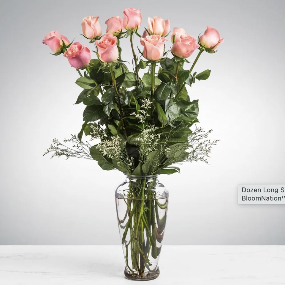 Dozen Long Stemmed Pink Roses by BloomNation™ - These pink roses are cheerful and fun! Dozen Long Stemmed Pink Roses by BloomNation™ is the perfect gift to show your love and appreciation.  APPROXIMATE DIMENSIONS: 25&quot; H X 18&quot; W  